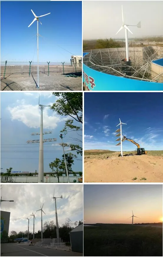 G Type 3000W Wind Turbine Generator/Wind Mill